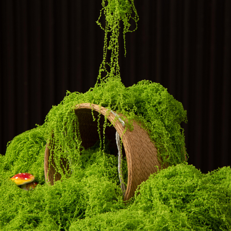 Terrarium Moss Art - 200g de mousse éternelle pour artisanat