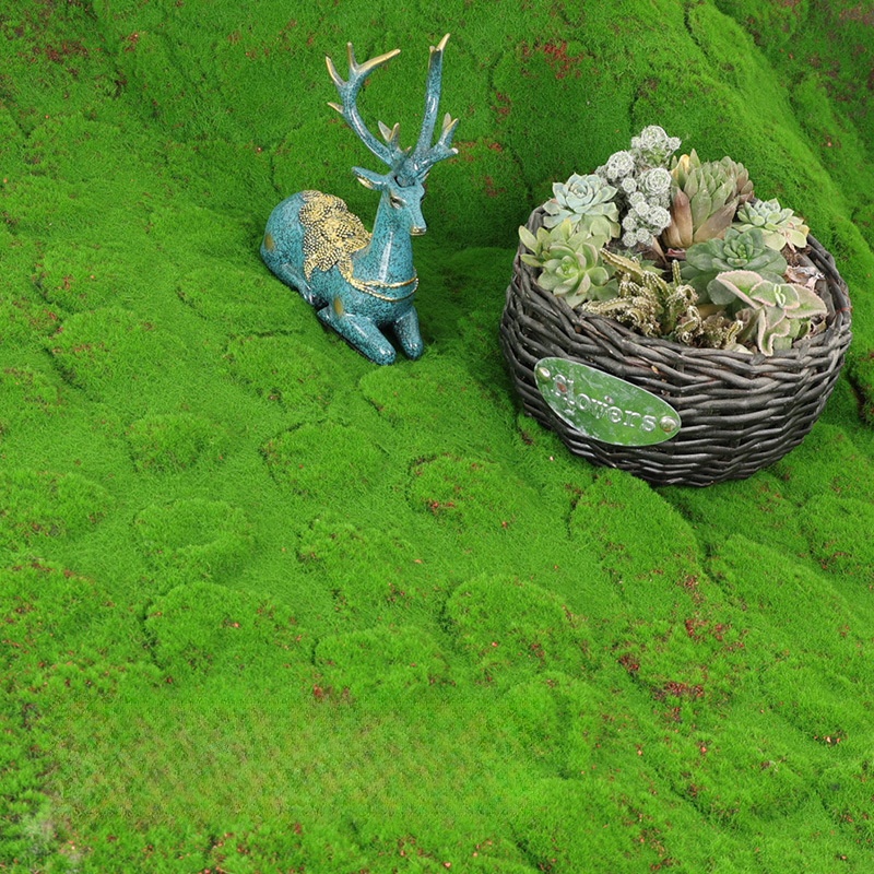 Mousse de gazon artificielle p - Terrarium Moss Art avis et prix