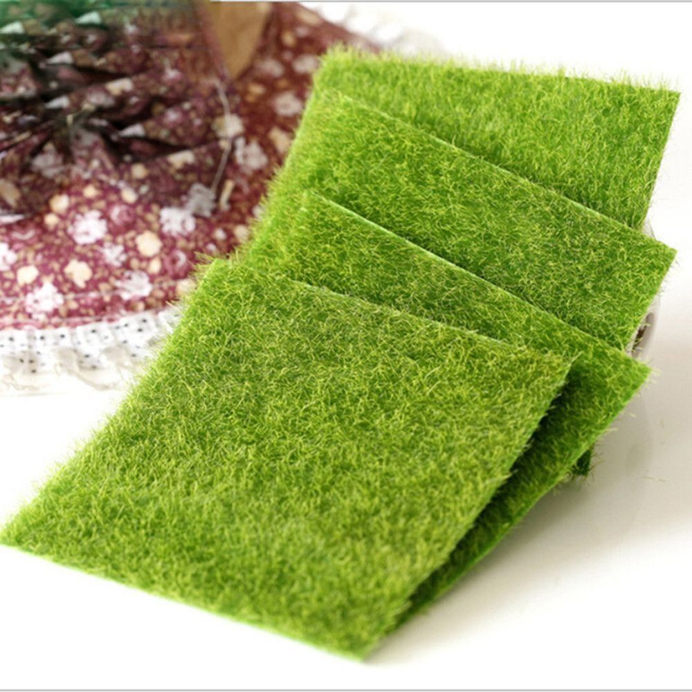 Décoration de pelouse écologiq - Terrarium Moss Art avis et prix