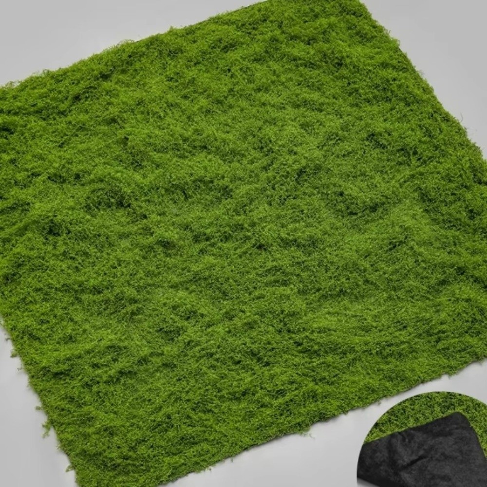 Tapis de gazon artificiel DIY  - Terrarium Moss Art avis et prix