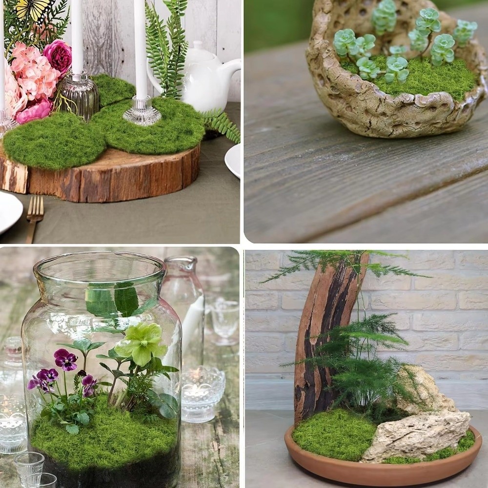 Tapis de gazon artificiel DIY  - Terrarium Moss Art avis et prix
