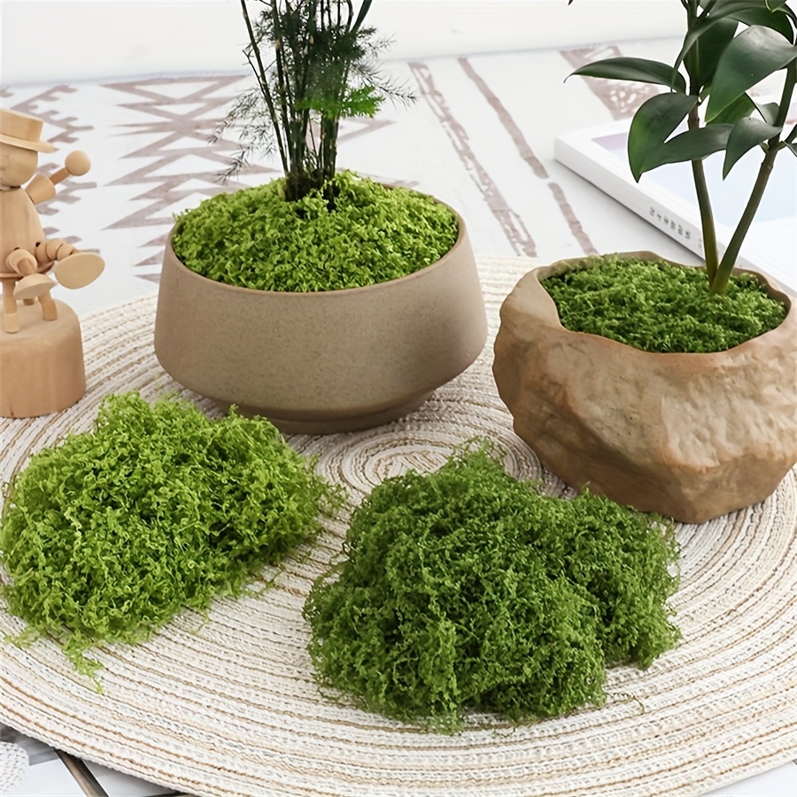 Mousse artificielle de simulat - Terrarium Moss Art avis et prix