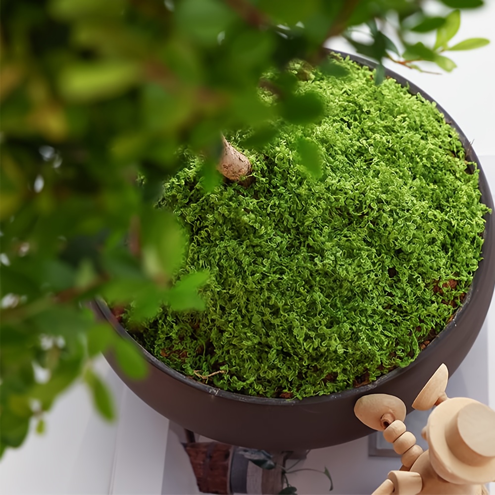 Mousse artificielle de simulat - Terrarium Moss Art avis et prix