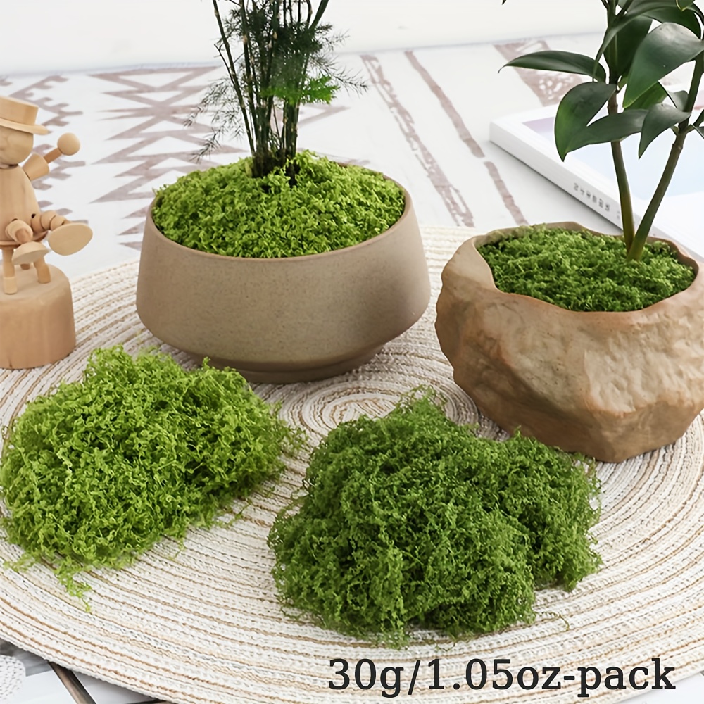 Mousse artificielle de simulat - Terrarium Moss Art avis et prix
