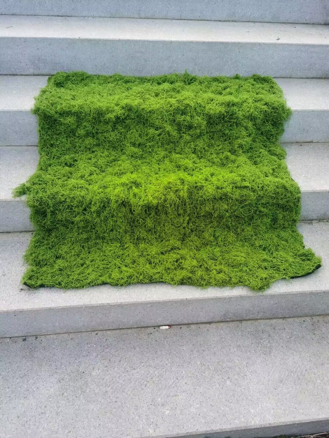 Aqumotic-Simulation de Gazon A - Terrarium Moss Art avis et prix