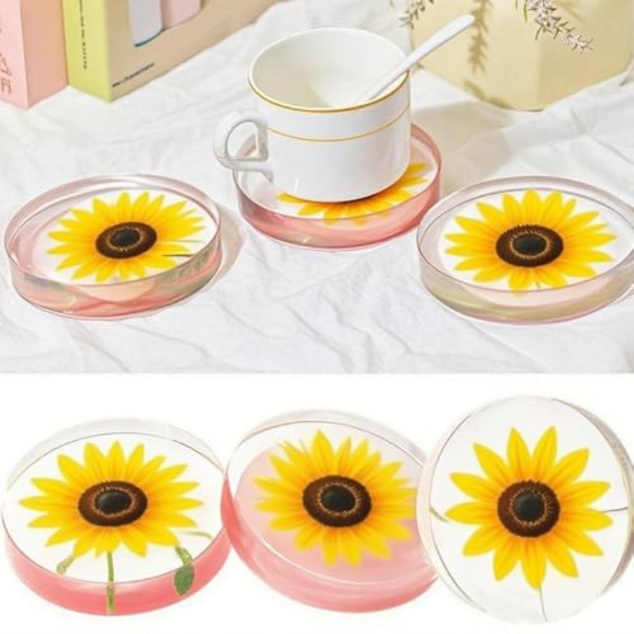 Moule en silicone à 6 cavités  - Flower Preservation Resin avis et prix