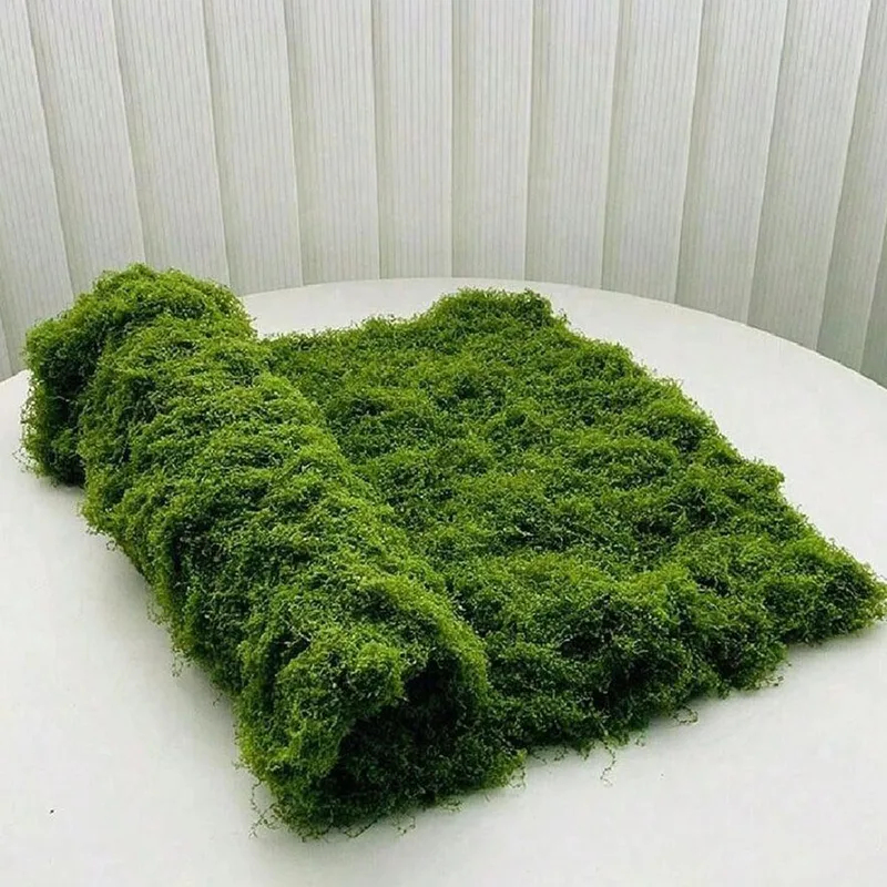 Mousse artificielle pour la dé - Terrarium Moss Art avis et prix