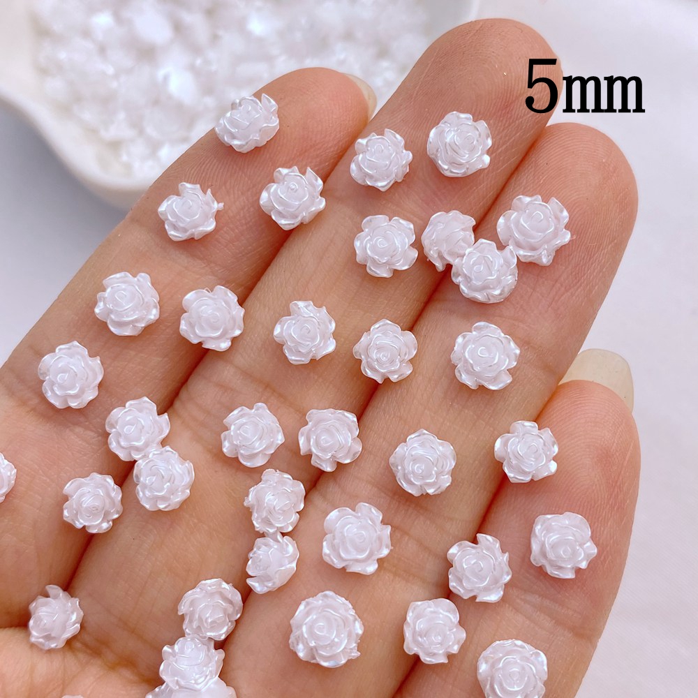 Ornement en résine de la série - Flower Preservation Resin avis et prix